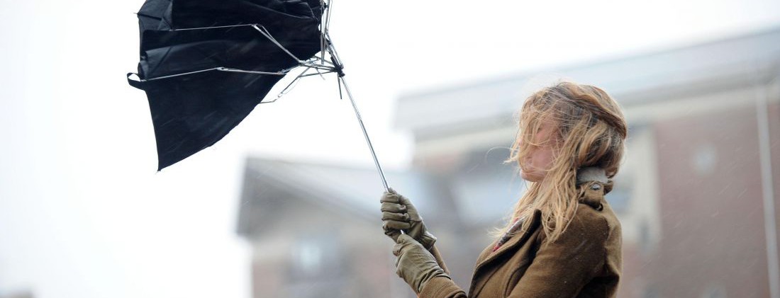 В Киеве из сломанных зонтиков создадут арт-объект и бахилы