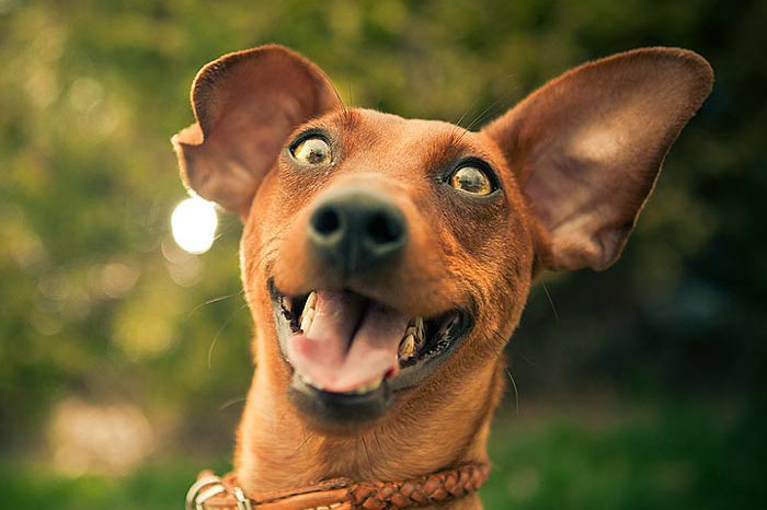 Сколько дней украинцы будут отдыхать весной 2019 года