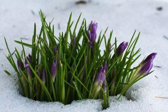 Синоптик рассказала, когда в Киеве потеплеет