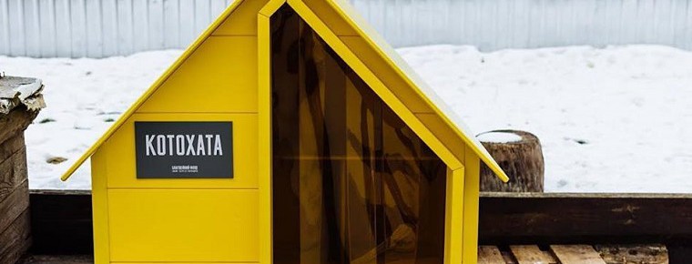 В Киеве начнут устанавливать дома для уличных котиков. Фото