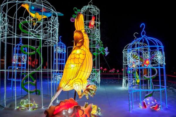 Фестиваль китайских фонарей продлили на неделю