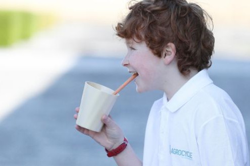 Ученые создали съедобные стаканы и трубочки из картофеля