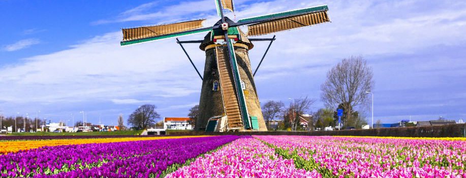На фестиваль тюльпанов и селедку с луком. Амстердам ждет этой весной!