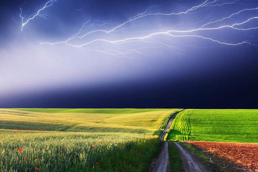 В столицу придут дожди и грозы