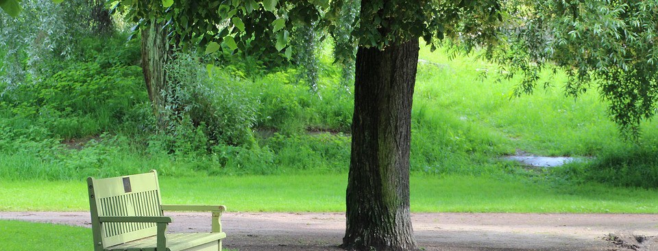 В Киеве появятся шесть новых мест для отдыха