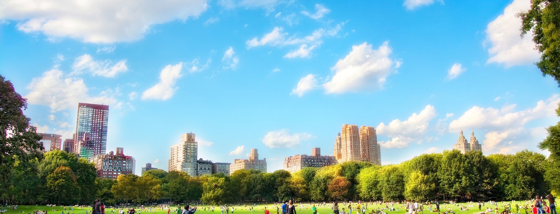 В 2019 году в Киеве капитально отремонтируют 90 парков и скверов