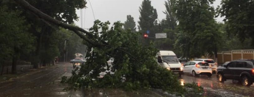 Киев накрыл шторм. Фото и видео последствий