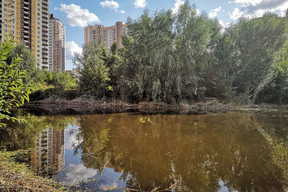 В Киеве расчистили от мусора озеро Жандарка. Фото