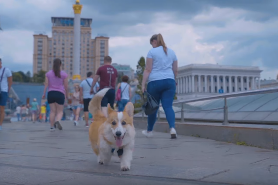 Как выглядит Киев глазами собаки. Видео