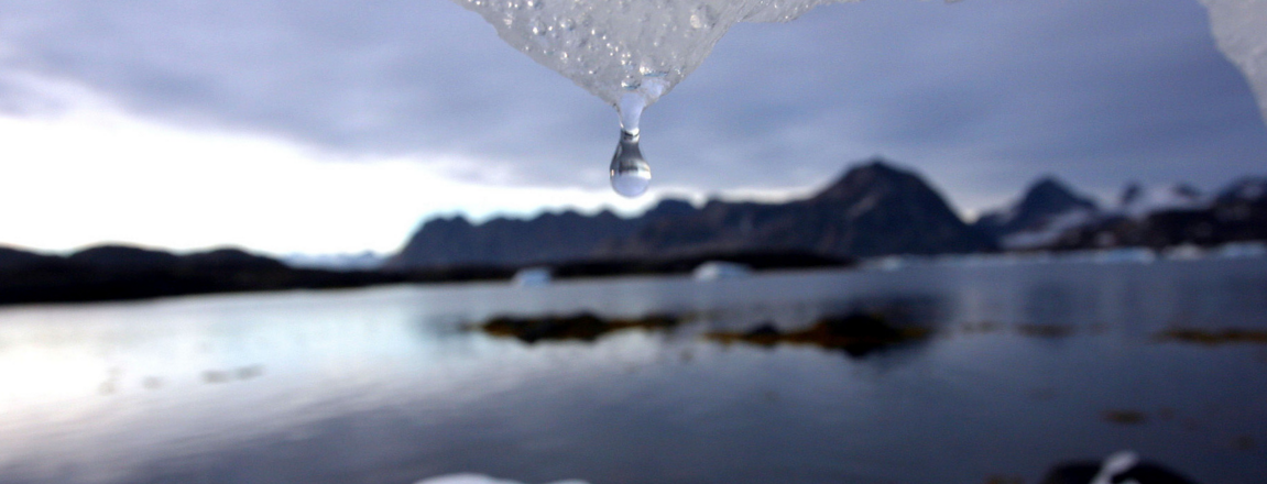 В Арктике зафиксировали максимальную в истории температуру