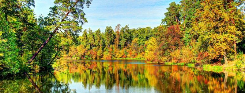 После капитального ремонта открыли парк «Пуща-Водица». Фото