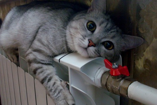 В Киеве практически закончили подготовку к новому отопительному сезону