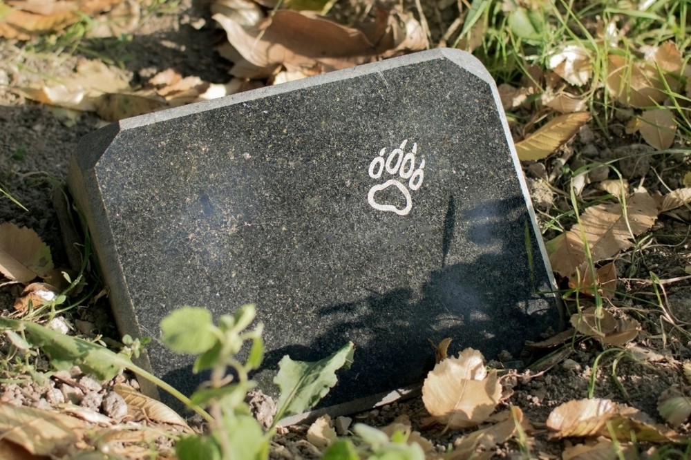 На Русановке снесут часть кладбища домашних животных