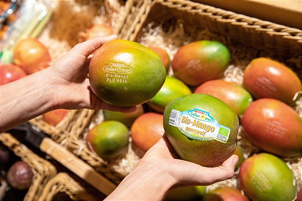 В Европе начали маркировать органические манго лазером