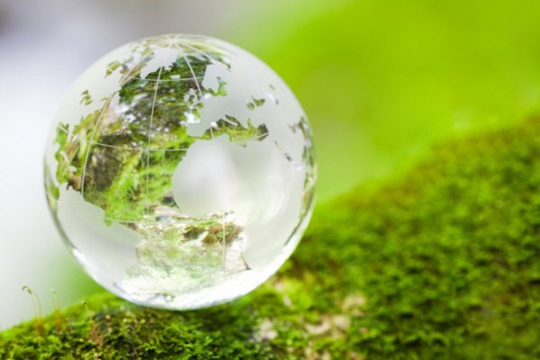 В Киеве состоится большой форум экологически ответственной молодежи