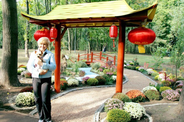 В одном из парков Киева появилась ландшафтная композиция «Яркий Китай» - ФОТО