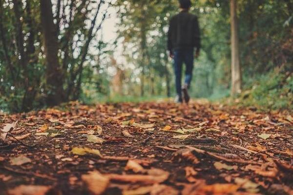 Заморозки и солнечные дни: синоптики рассказали, какой будет погода в Украине в октябре