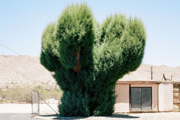 В Киеве откроется выставка новаторской фотографии Bird in Flight Prize ‘19