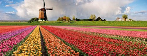 Нидерланды больше не будут называться Голландией