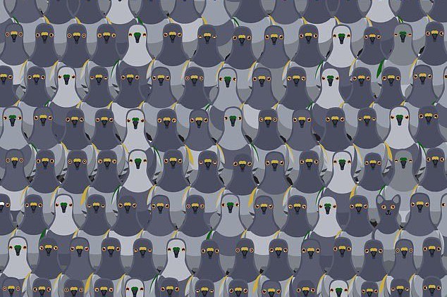 Найди кота: в сети набирает популярность головоломка на внимательность