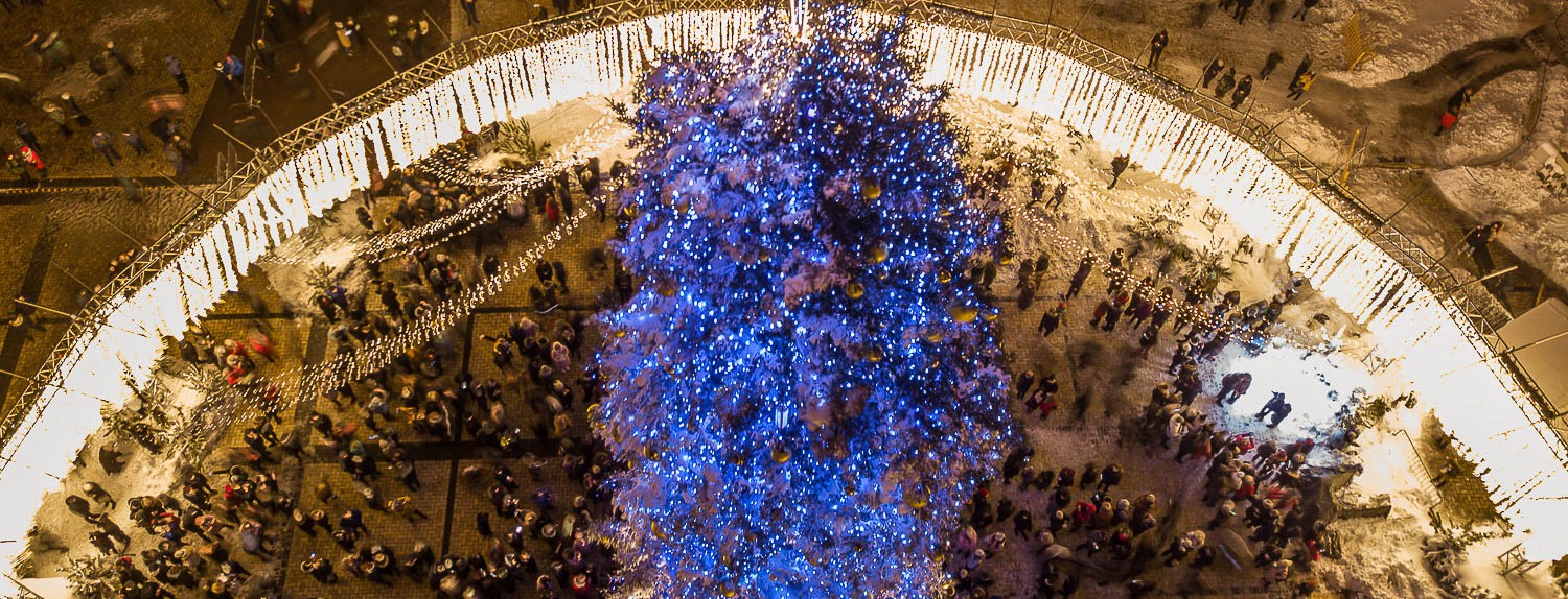 Стало известно, когда в Киеве начнут устанавливать новогоднюю елку