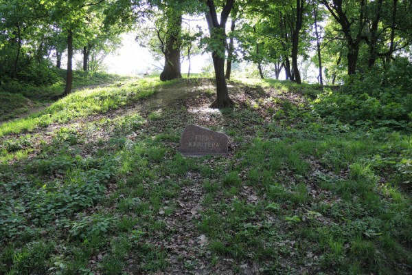 В Киеве рядом с кинотеатром Шевченко перекрыли движение противники застройки парка