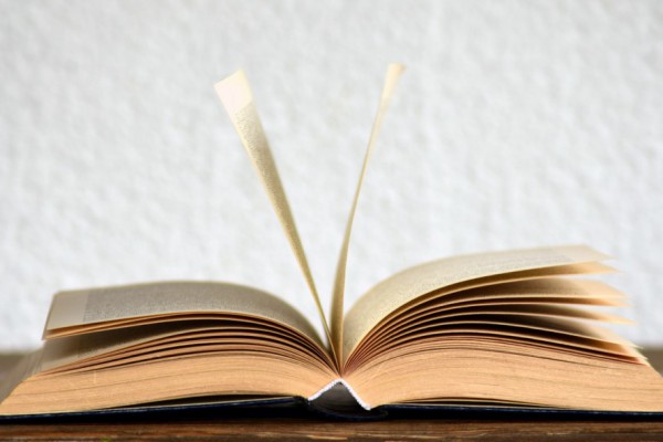 Оксфордский словарь назвал главное слово года и оно связано с Гретой Тунберг