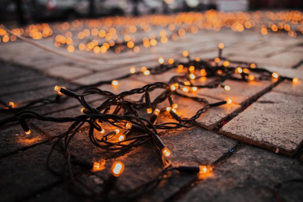 На Софийской площади установили новогоднюю елку. Видео