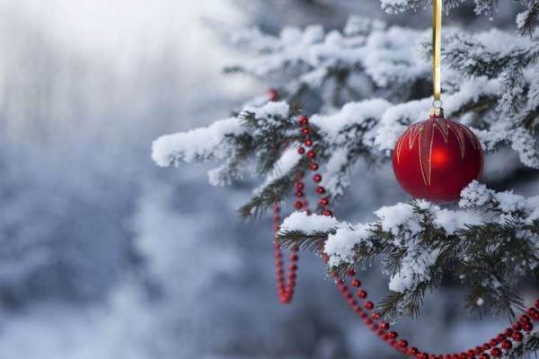 Стало известно, какая погода ждет украинцев на Новый год