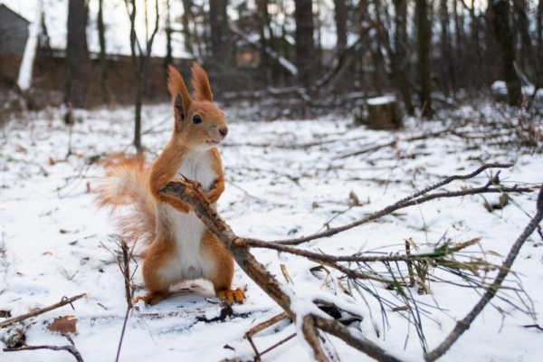Какая погода ожидает украинцев на выходных: снег, дождь и заморозки