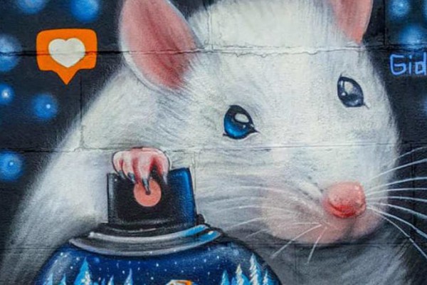 20 красочных  муралов Киева 2019 года