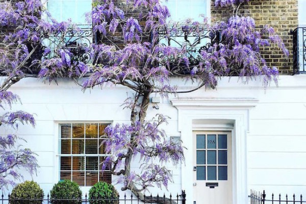 Больше, чем просто двери: как фотопроект британки приобрел фантастическую популярность