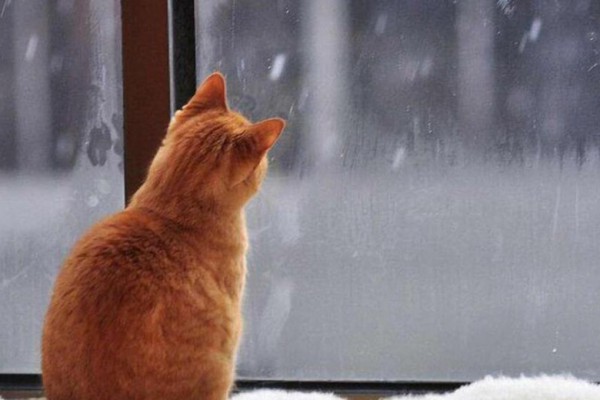 Стало известно, какая погода ожидает киевлян завтра