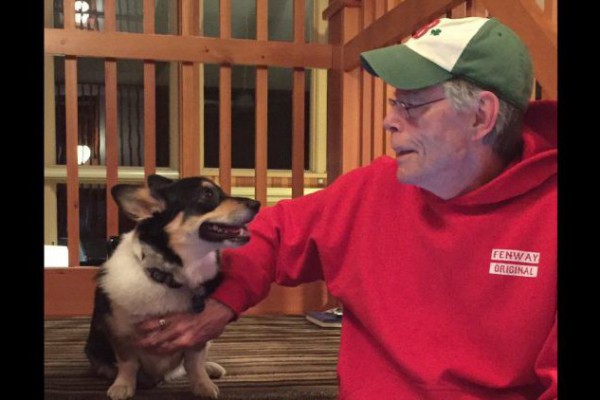 Известный писатель Стивен Кинг завел аккаунт своего корги в Twitter