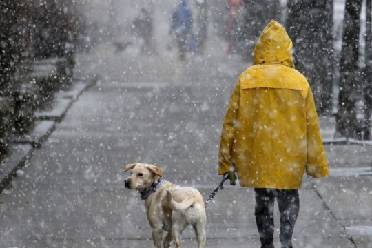 В Украине синоптики прогнозируют ухудшение погоды и сильный ветер
