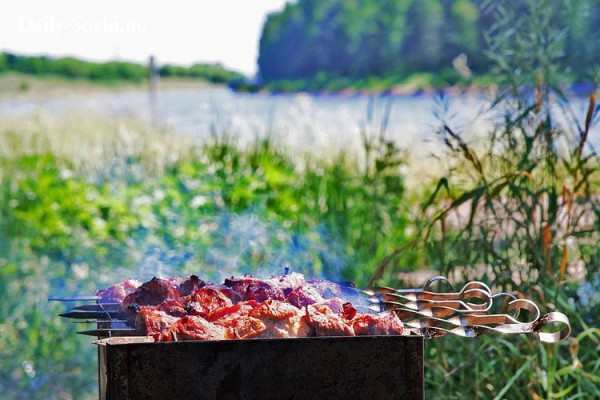В Киеве будут штрафовать любителей пикников с шашлыками