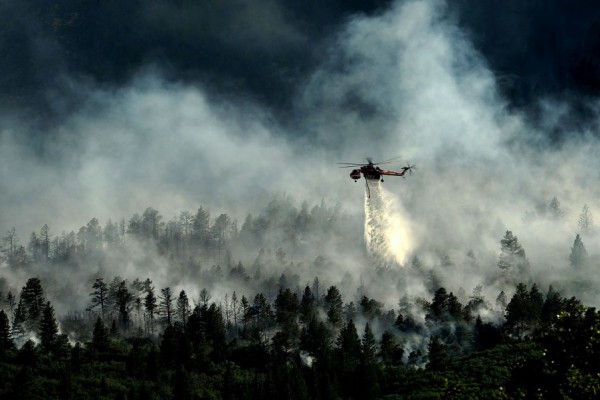 В Чернобыльской зоне отчуждения вспыхнул огонь и снова начался пожар