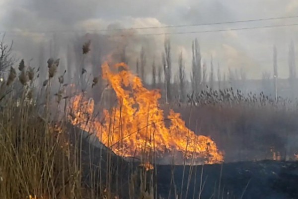 Под Киевом задержали подозреваемых поджигателей сухой травы