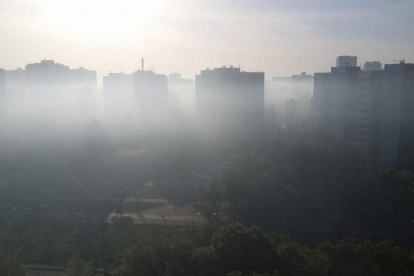 Чем дышит город: 3 способа проверить воздух самостоятельно