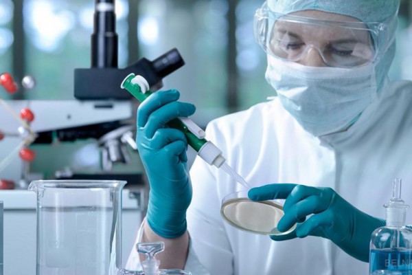 Коронавирус в Украине: у людей будут массово проверять антитела и иммунитет