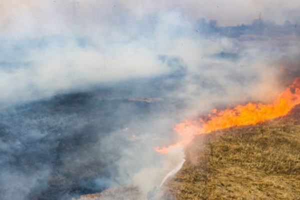 В Чернобыле тысяча спасателей продолжает тушить масштабные лесные пожары