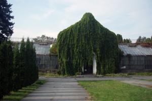 Все летние развлечения в одном месте: где отдохнуть на ВДНГ