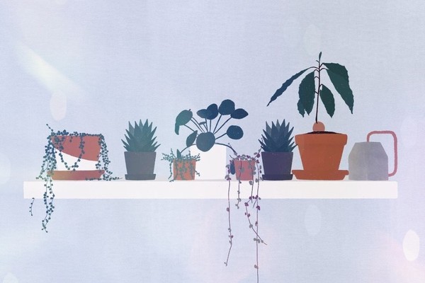 10 Telegram-каналов об экологичном образе жизни