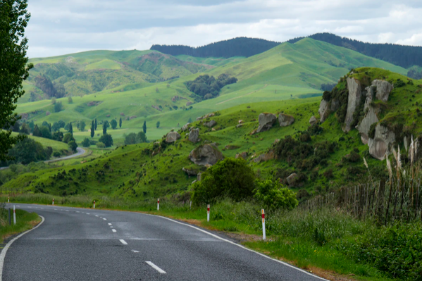Новая Зеландия снимает все коронавирусные ограничения
