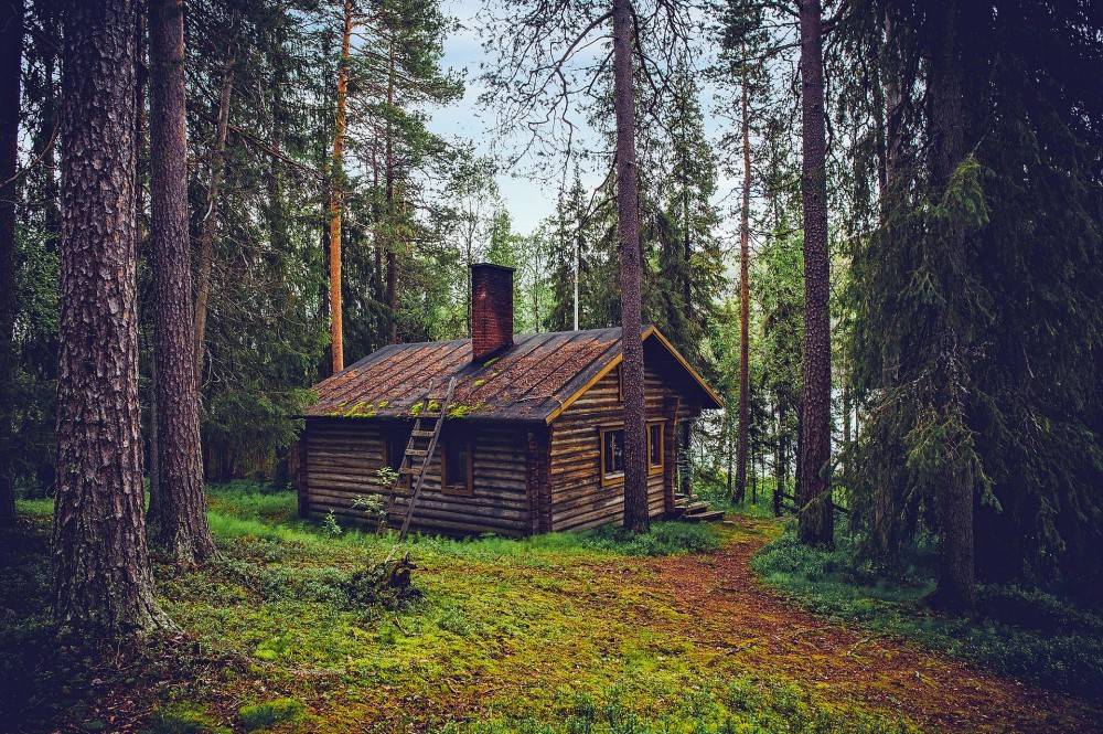 Красивый дом в лесу (76 фото)