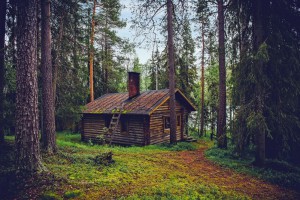 Где под Киевом снять уютный домик в лесу: обзор баз отдыха