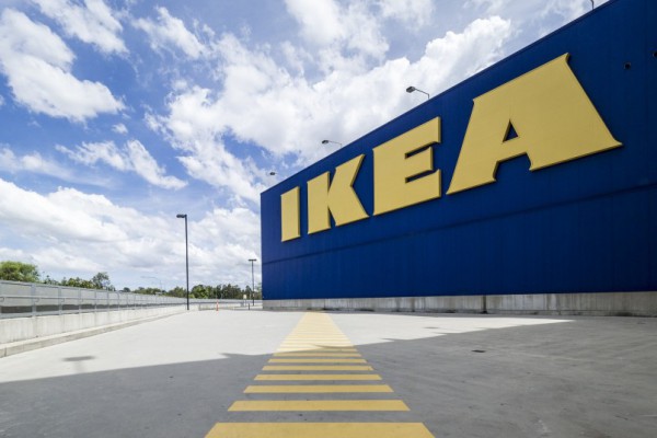IKEA закупает незаконно вырубленные карпатские деревья для производства мебели: в компании отреагировали на обвинения