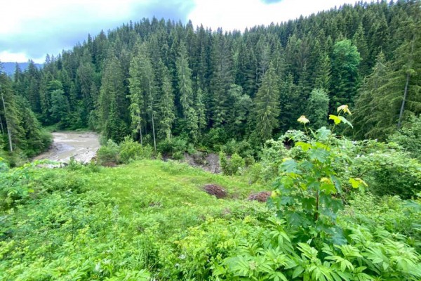 Непогода в Карпатах: из-за ливней исчезло одно из озер в Ивано-Франковской области