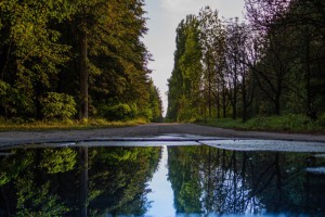 Куда поехать летом 2020: 12 мест по Украине, которые напоминают популярные места мира