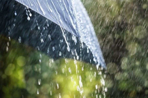 Грозы, град и сильный ветер: какая погода ждет украинцев завтра